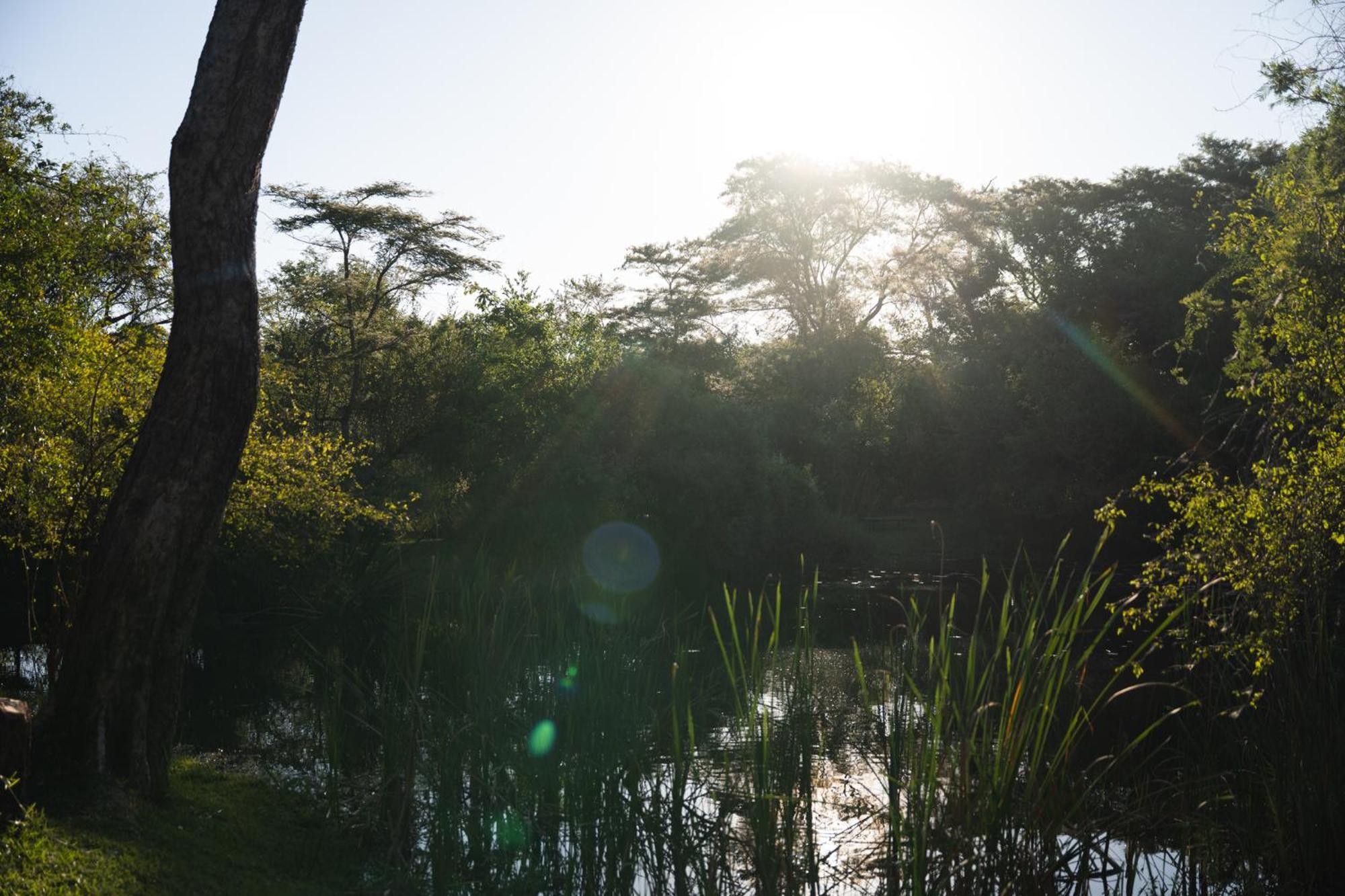 Chundukwa River Lodge - Self Catering House Livingstone Ngoại thất bức ảnh